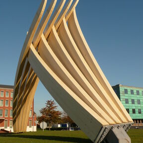 Accoya