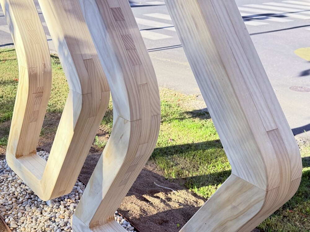 Accoya Pfeile - SFG